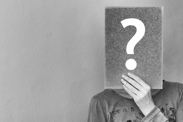 what can seo do for my business