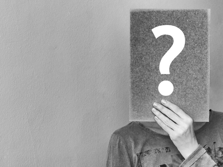 what can seo do for my business